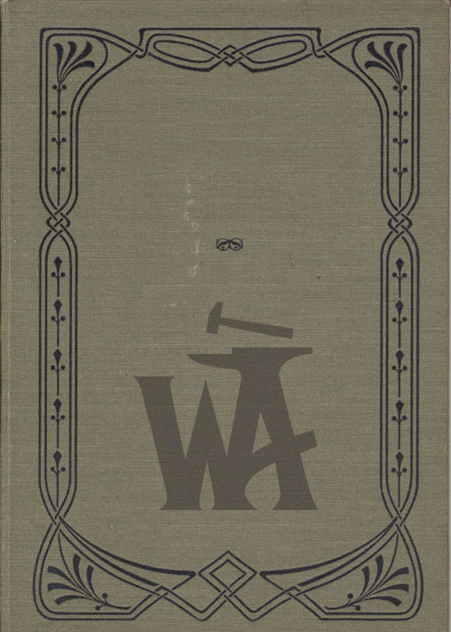 Cover of Starlit Embers in Her Eyes